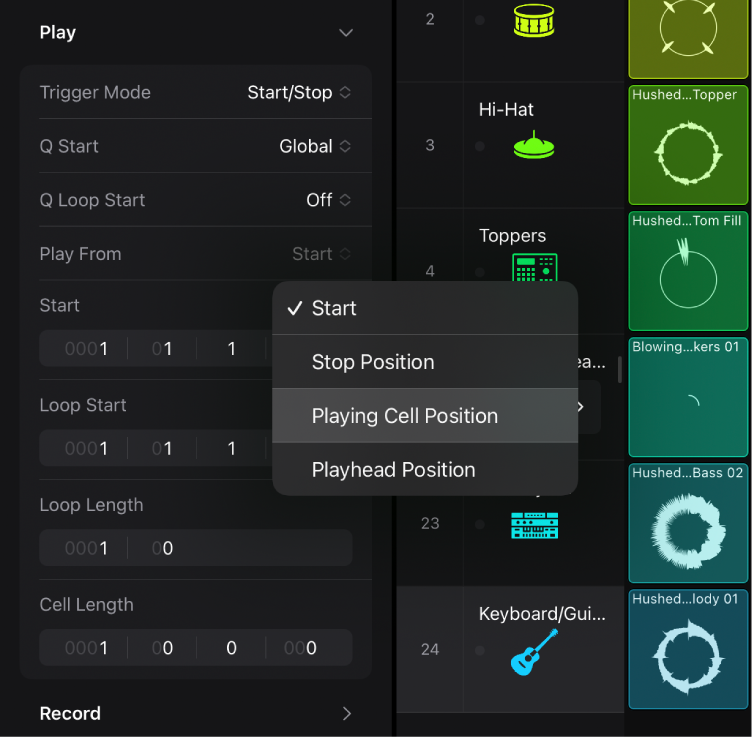 Figure. Play From setting in the Cell inspector.