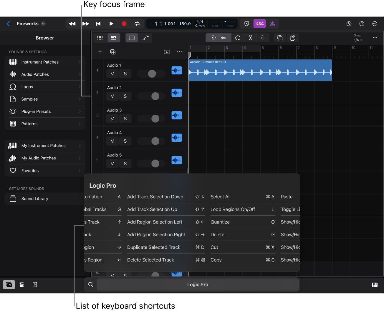 Key focus frame.