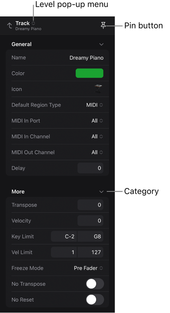 Figure. Inspector showing track parameters, Level pop-up menu, and Pin button.