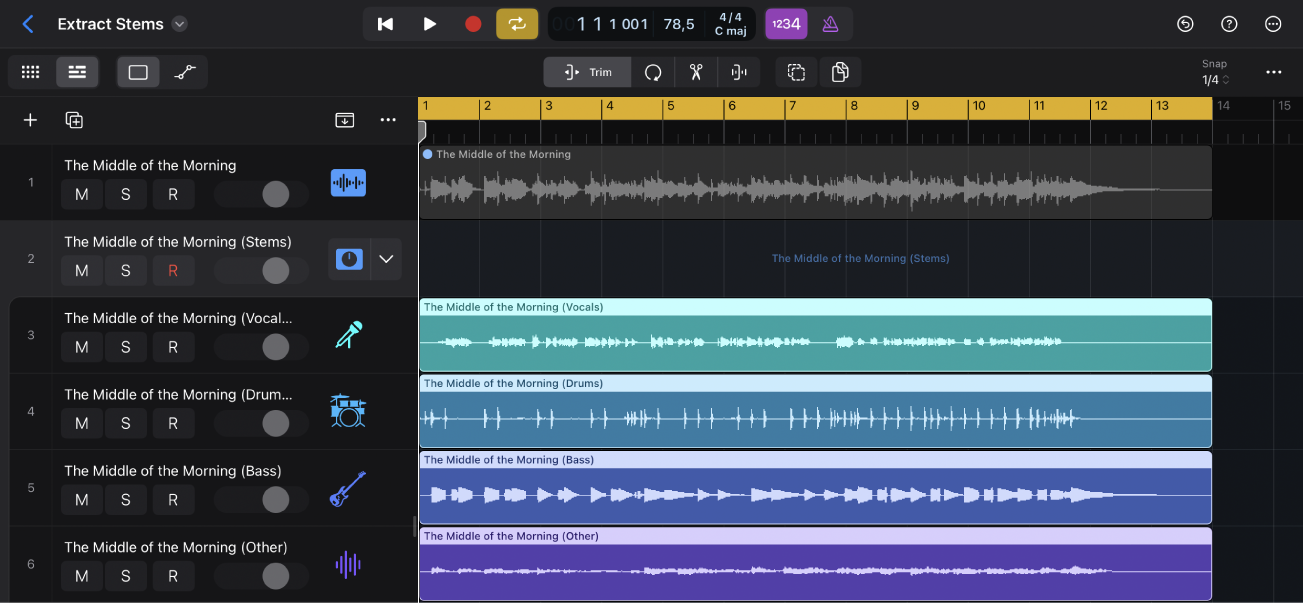 Figure. Tracks area showing selected audio region and summing stack with stems as audio regions in subtracks.