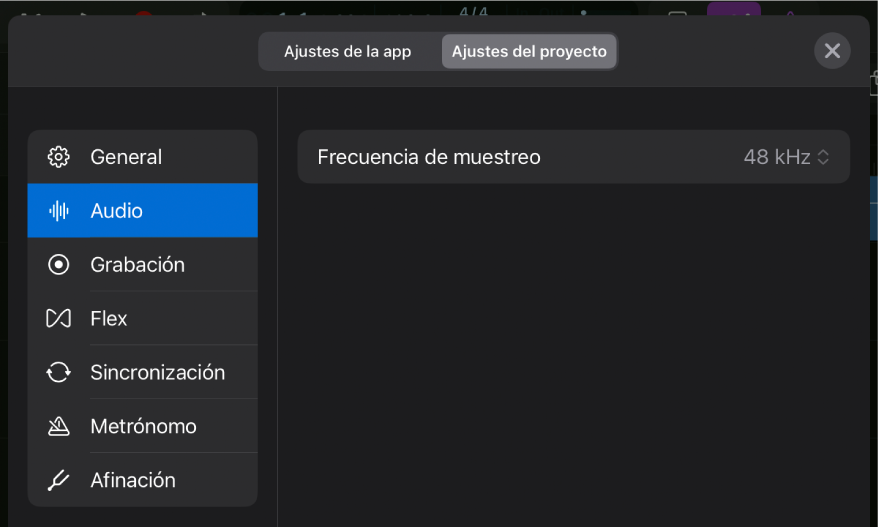 Ajustes del proyecto de audio.