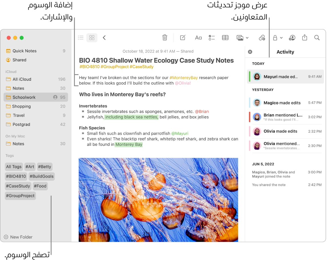 نافذة في تطبيق الملاحظات في عرض المعرض تظهر بها وسيلة شرح للوسوم في الشريط الجانبي. في الملاحظة الرئيسية، توجد وسيلة شرح لوسم وإشارة. على اليسار، توجد قائمة أنشطة بها وسيلة شرح لعرض ملخص التحديثات.