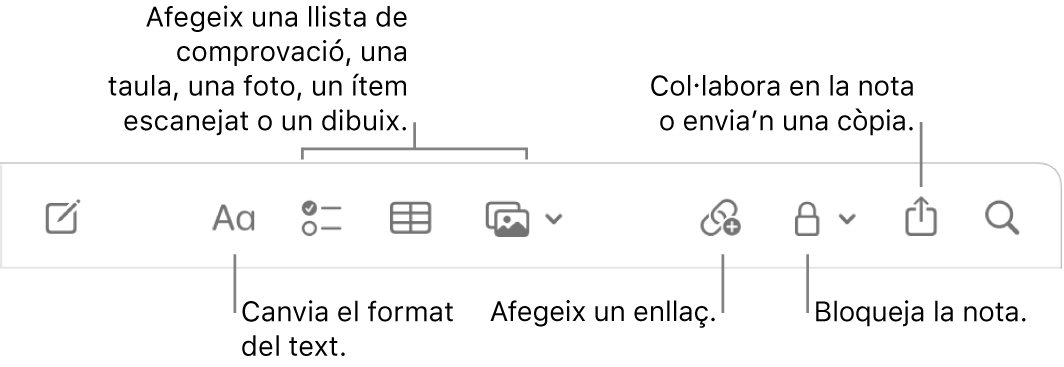 La barra d’eines de l’app Notes amb les llegendes de les eines de format de text, llista de verificació, taula, enllaç, fotos/multimèdia, bloqueig, compartir i enviament de còpia.