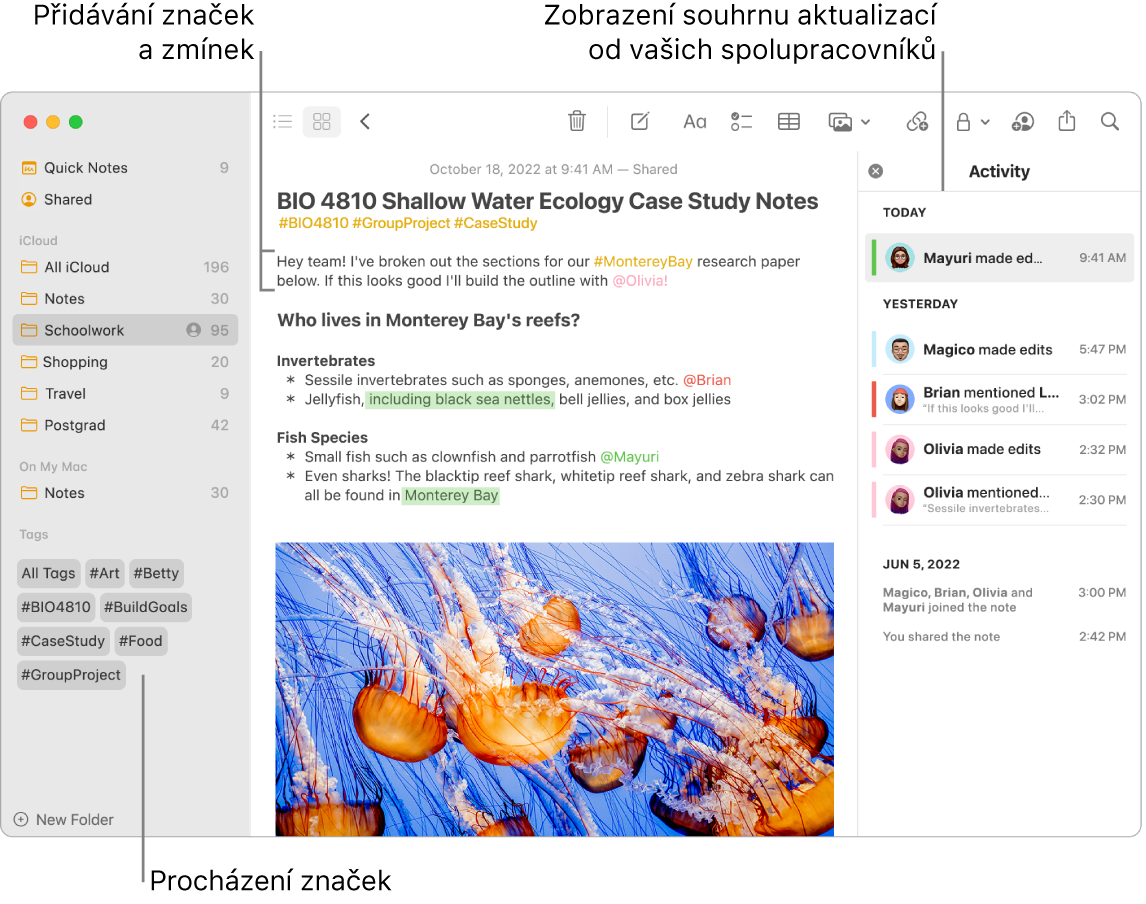 Okno Poznámky v zobrazení galerie s popiskem značek na bočním panelu V hlavní poznámce je popisek značky a zmínky Vpravo je seznam aktivit s popiskem zobrazení přehledu aktualizací