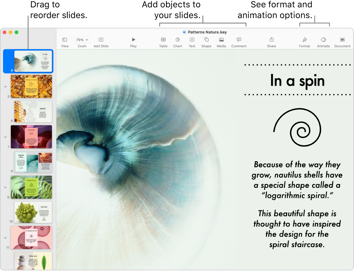 A Keynote window showing the slide navigator on the left and how to reorder slides, the toolbar and its editing tools at the top, the Collaborate button near the top right, and the Format and Animate buttons on the right.