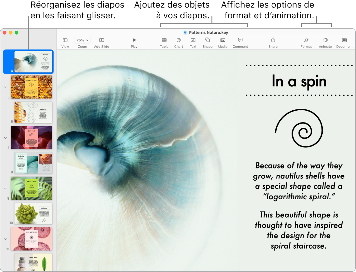 Fenêtre de Keynote affichant le navigateur de diapositives sur la gauche et comment réorganiser les diapositives, la barre d’outils et les outils d’édition en haut, le bouton Collaborer en haut à droite, et les boutons Format et Animer sur la droite.