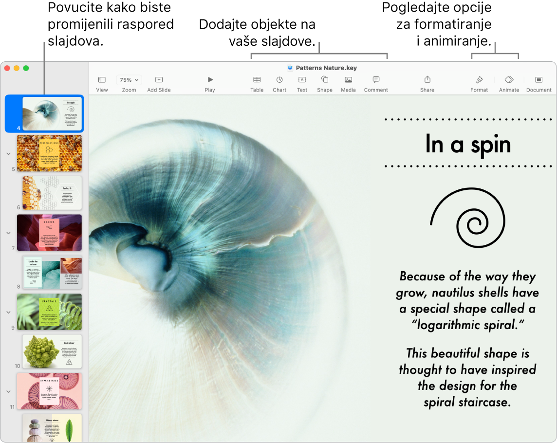 Prozor aplikacije Keynote s prikazom navigatora za slajdove s lijeve strane i načina preraspoređivanja slajdova, alatom za uređivanje na vrhu, tipkom za suradnju u blizini gornjeg desnog dijela te tipkama Format i Animiraj s desne strane.