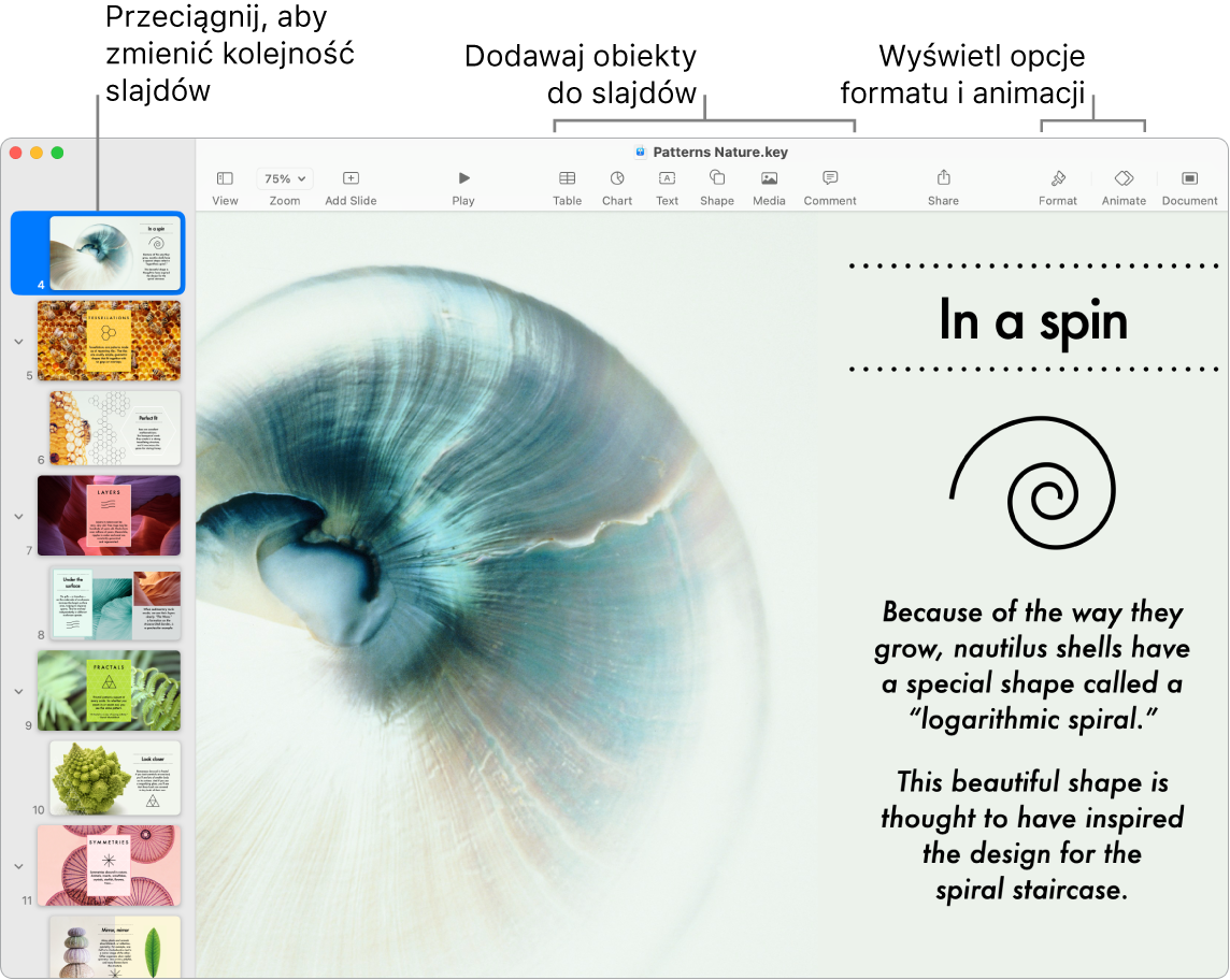 Okno aplikacji Keynote z nawigatorem slajdów po lewej stronie oraz przedstawionym sposobem zmieniania kolejności slajdów. Na górze okna widoczny jest pasek narzędzi zawierający narzędzia edycji. W pobliżu prawego górnego rogu znajduje się przycisk współpracy, a na prawo od niego widoczne są przyciski Format oraz Animacja.