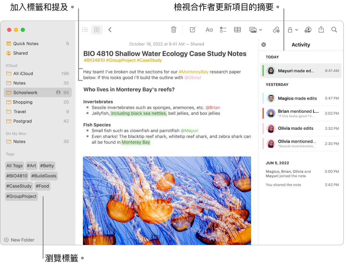 「圖庫」顯示方式中的「備忘錄」視窗，帶有側邊欄中標籤的說明框。主要備忘錄中顯示標籤和提及的圖說。右方為活動列表，顯示檢視更新摘要的圖說。