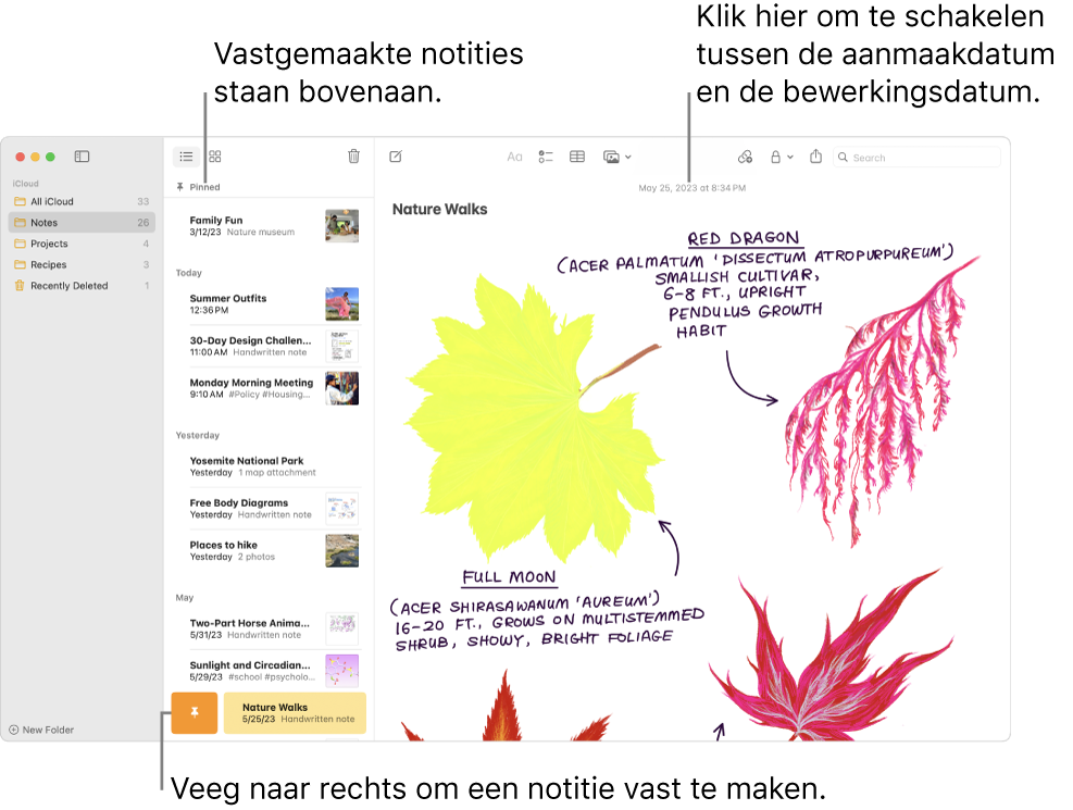 Het Notities-vensters met links de lijst met notities, vastgemaakte notities boven aan de lijst en de vastmaakknop op een notitie. De inhoud van die notitie wordt aan de rechterkant weergegeven met de datum bovenaan. Klik op de datum om te wisselen tussen de aanmaakdatum en de bewerkingsdatum.