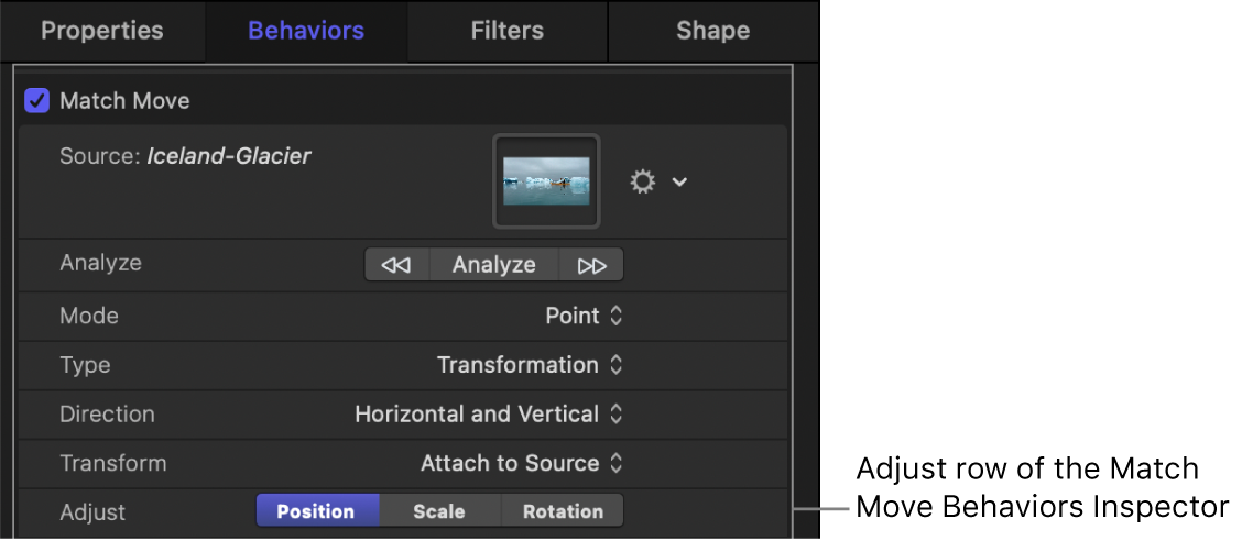 Match Move Inspector showing the Adjust parameters