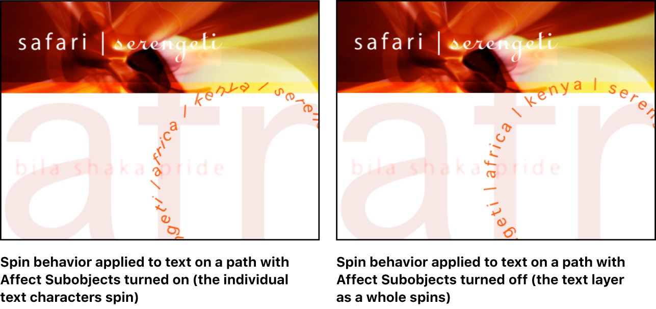 Canvas showing effect of Affect Subobjects setting: When the setting is on, individual letters spin; when it is off, the text layer as a whole spins