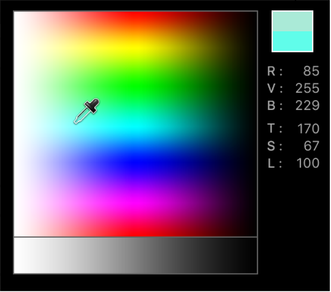 Palette de couleurs