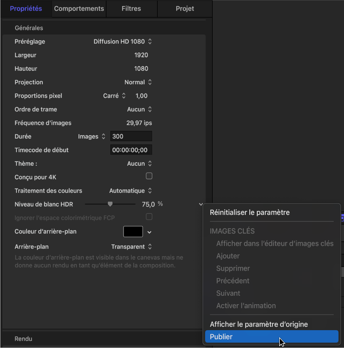 Inspecteur des propriétés du projet montrant la publication du curseur « Niveau de blanc HDR »