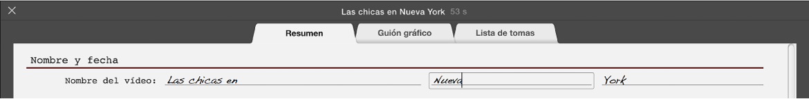 Se está introduciendo texto en el panel Resumen del tráiler