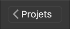 Bouton de retour Projets dans la barre d’outils
