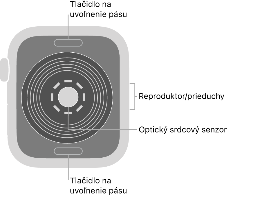 Zadná strana hodiniek Apple Watch SE. Navrchu a naspodku sa nachádzajú tlačidlá na uvoľnenie pásu. V strede je umiestnený optický srdcový senzor a naboku reproduktor/prieduchy.