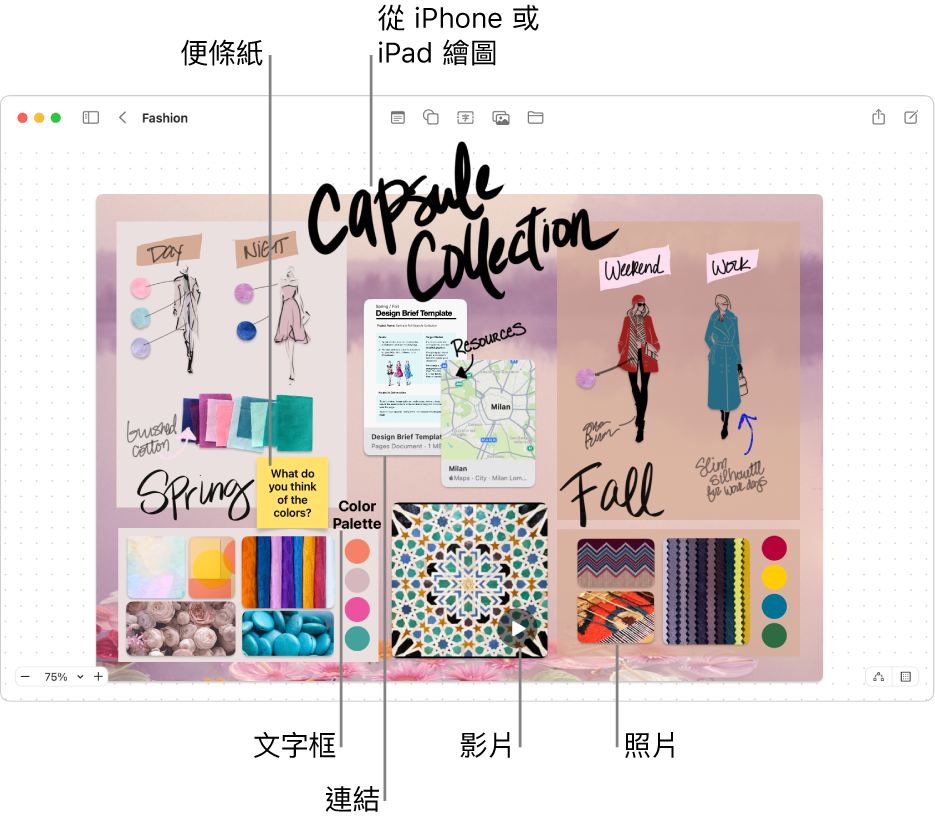 包含各種項目的「無邊記」白板，例如來自 iPhone 或 iPad 的繪圖、便條紙、連結、文字框、影片和幾張照片。