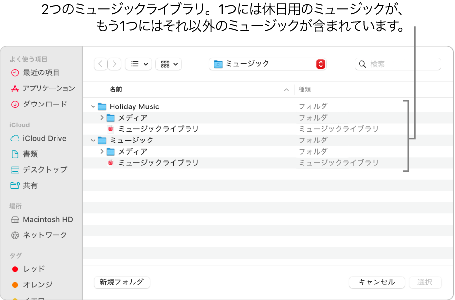 複数のライブラリが表示されているFinderウインドウ。1つは休日用のミュージック、もう1つはその他のミュージックのライブラリです。