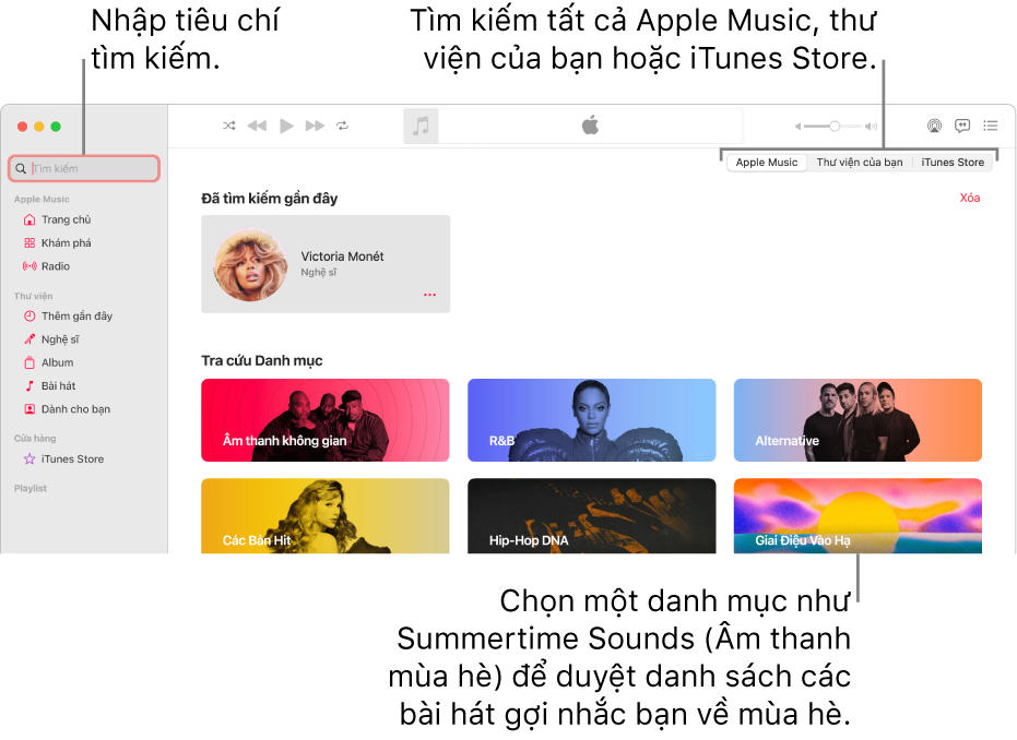 Cửa sổ Apple Music đang hiển thị trường tìm kiếm ở góc trên cùng bên trái, danh sách các danh mục ở giữa cửa sổ và Apple Music, Thư viện của bạn và iTunes Store có sẵn ở góc trên cùng bên phải. Nhập tiêu chí tìm kiếm vào trường tìm kiếm, sau đó chọn tìm kiếm tất cả Apple Music, chỉ thư viện của bạn hoặc iTunes Store.