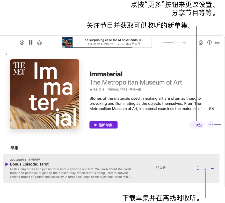 播客信息页面显示“关注”、“更多”和“下载”按钮。