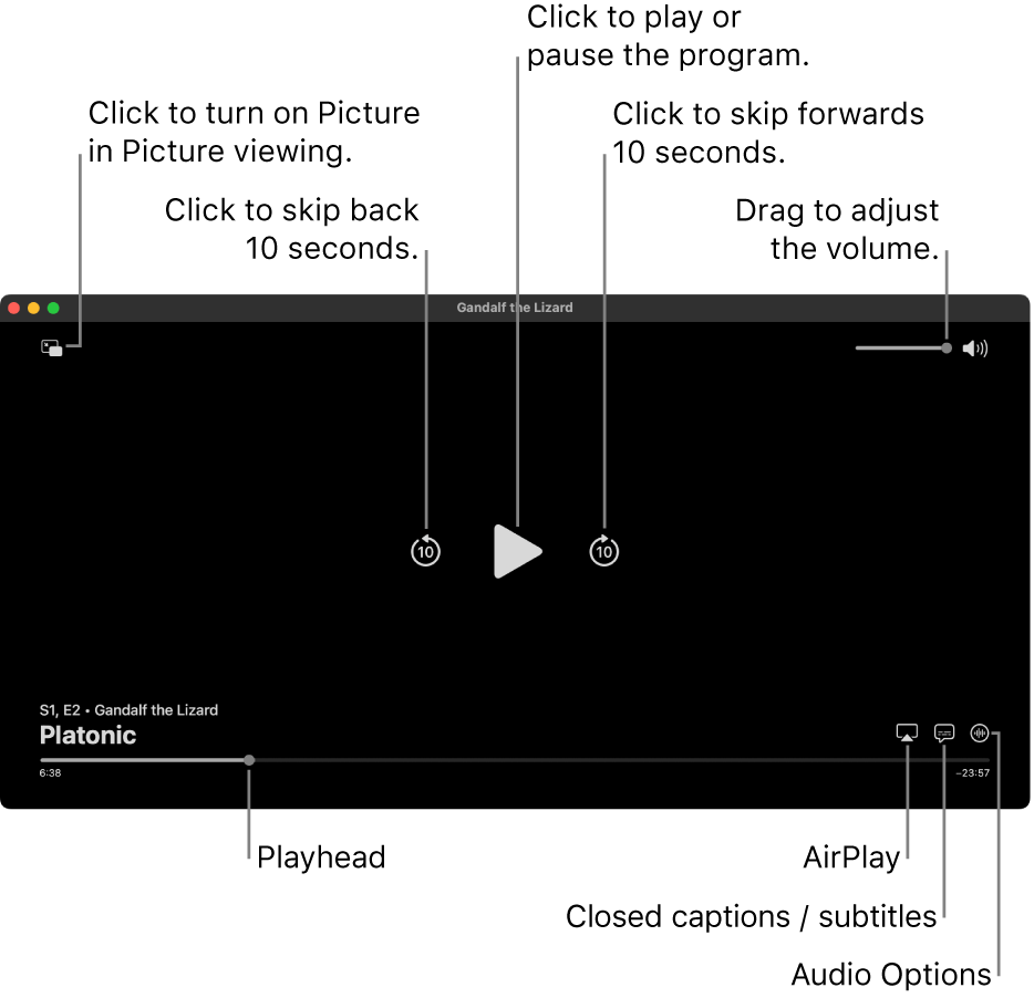 Playback controls in the viewer, including buttons to play or pause, skip forwards or backwards, and adjust volume