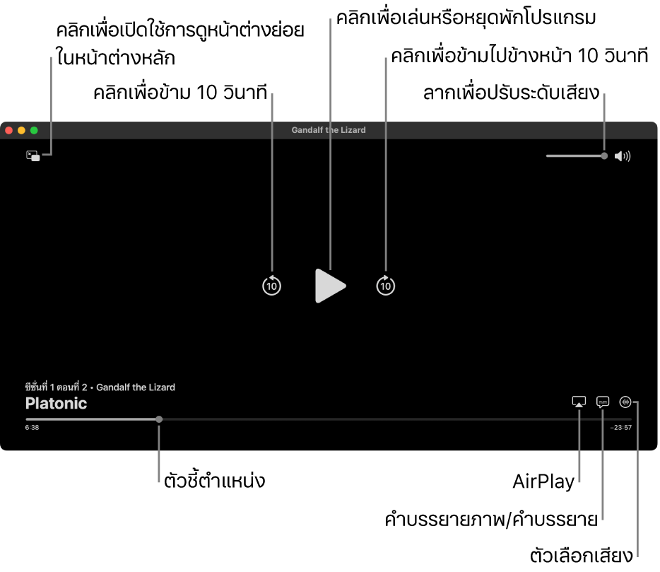 ตัวควบคุมการเล่นในหน้าต่างแสดงซึ่งรวมถึงปุ่มต่างๆ สำหรับเล่นหรือหยุดพัก ข้ามไปข้างหน้าหรือข้ามไปข้างหลัก และปรับระดับเสียง