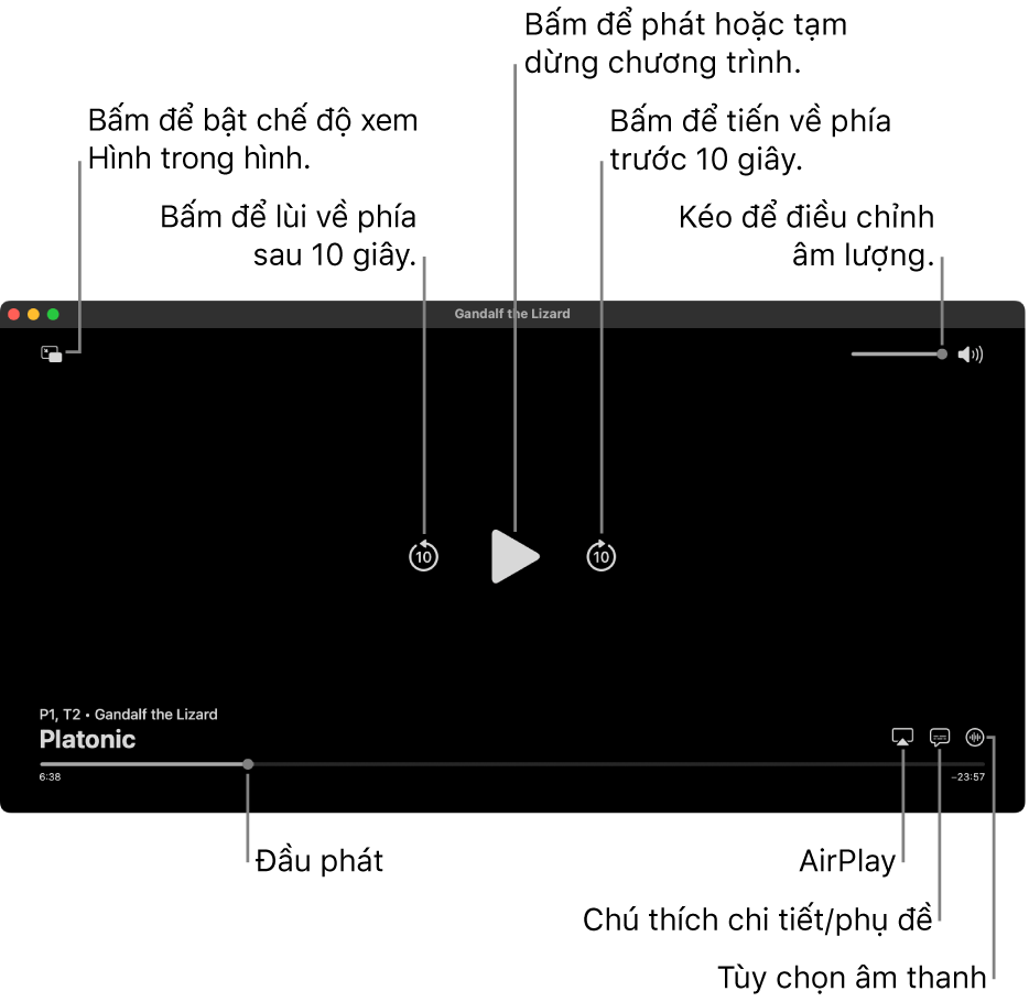 Các điều khiển phát lại trong trình xem, bao gồm các nút để phát hoặc tạm dừng, tiến về phía trước hoặc lùi về phía sau và điều chỉnh âm lượng