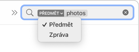 U vyhledávacího filtru se po kliknutí na šipku dolů zobrazí dvě volby: Předmět a Celá zpráva. Je vybrána položka Předmět