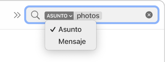 Un filtro de búsqueda en el cual se hizo clic en la flecha hacia abajo para mostrar dos opciones: Asunto y Mensaje completo. La opción Asunto está seleccionada.
