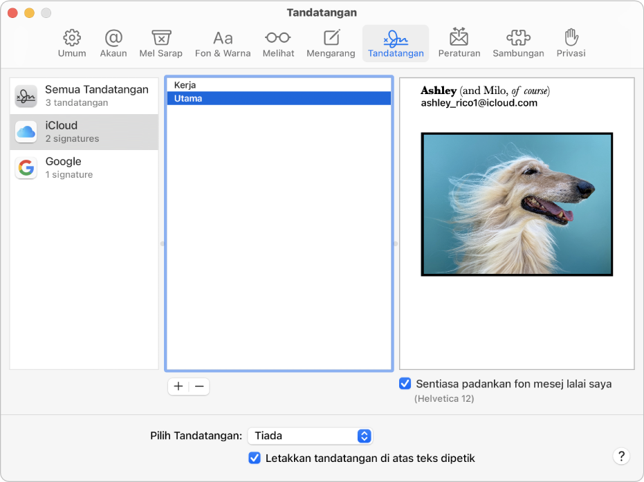 Anak tetingkap seting Tandatangan Mail menunjukkan tandatangan yang mengandungi teks diformatkan dan imej.