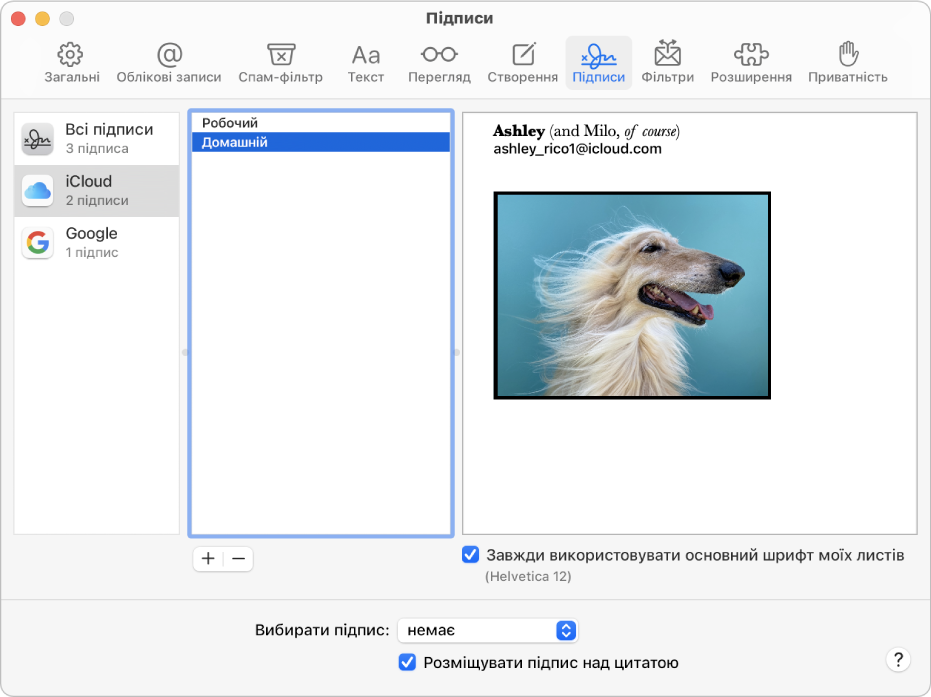 Панель параметрів «Підписи» в «Пошті» з підписом, який складається з форматованого тексту й зображення.