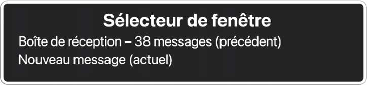 Le sélecteur de fenêtre répertoriant deux fenêtres ouvertes.