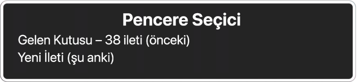 İki tane açık pencereyi listeleyen Pencere Seçici.