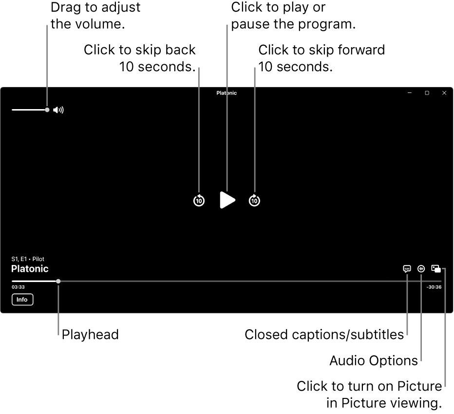 Playback controls in the viewer, including buttons to play or pause, skip forward or backward, and adjust volume