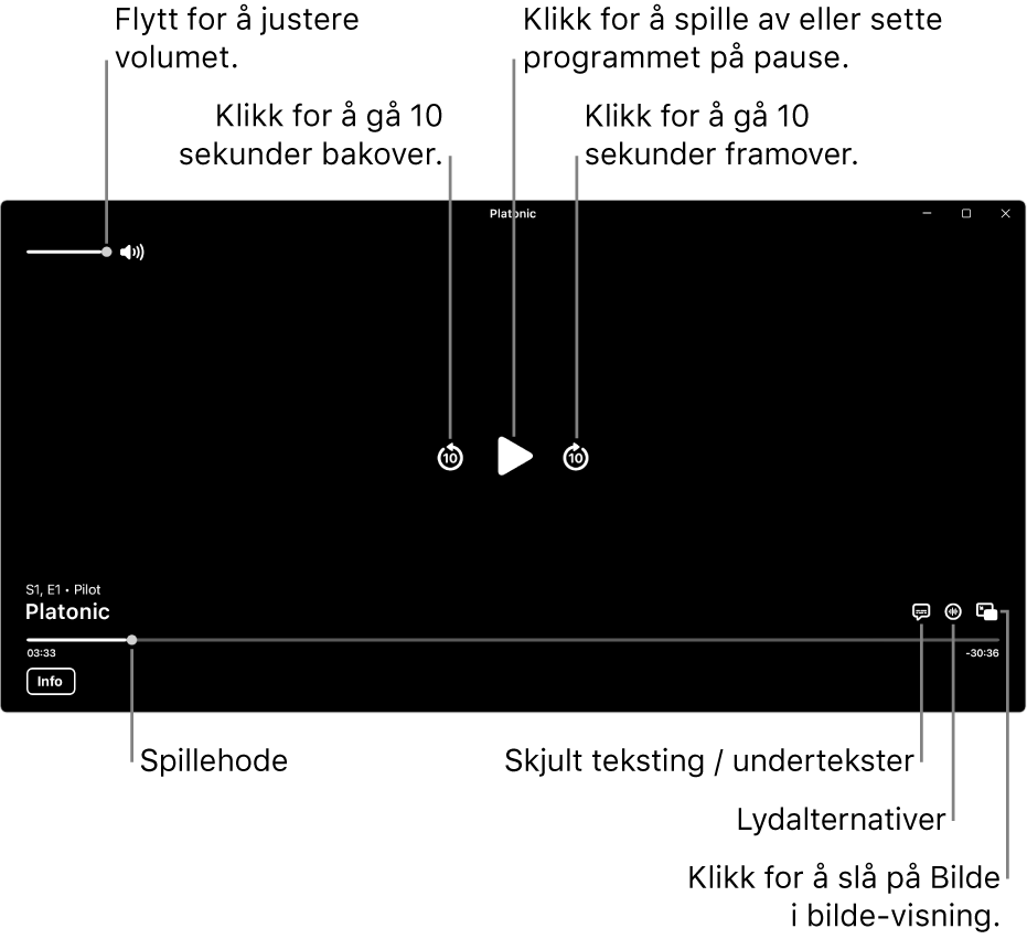 Avspillingskontroller i visningen, inkludert knapper for å spille av eller sette på pause, hoppe fram eller tilbake og justere volumet