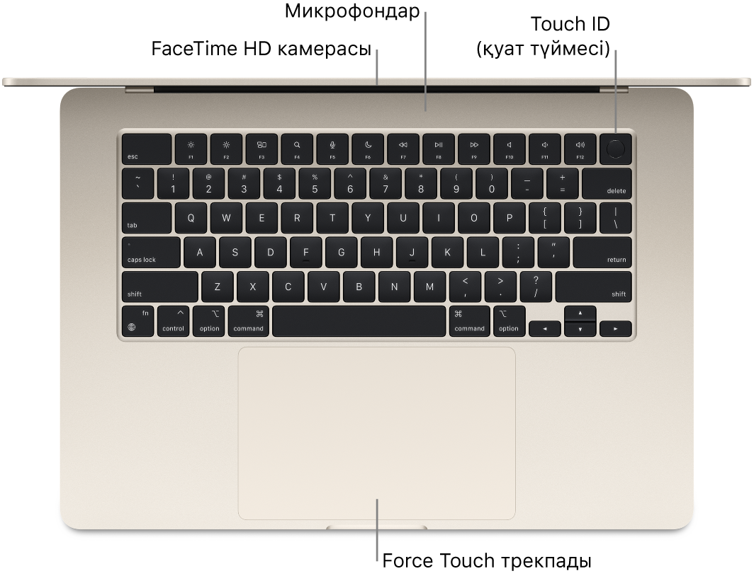 FaceTime HD камерасына, микрофондарға, Touch ID тақтасына (қуат түймесі) және Force Touch тақтасына тілше деректері бар ашық MacBook Air компьютерінің төменгі көрінісі.