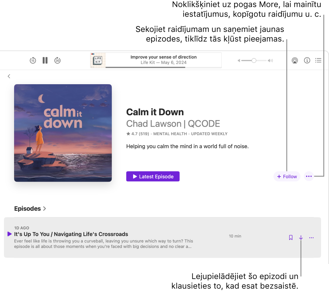 Lietotnes Podcasts logs, kurā redzama raidieraksta sērija. Remarkas norāda uz pogām Download, Follow un More.