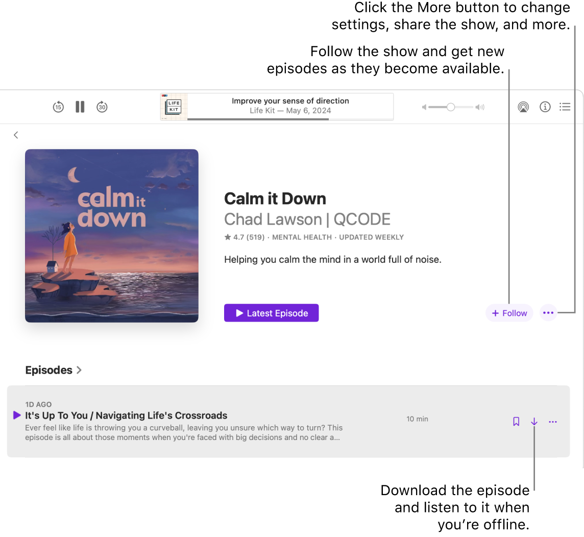 A Podcasts window showing a podcast episode. Callouts point to the Download, Follow, and More buttons.