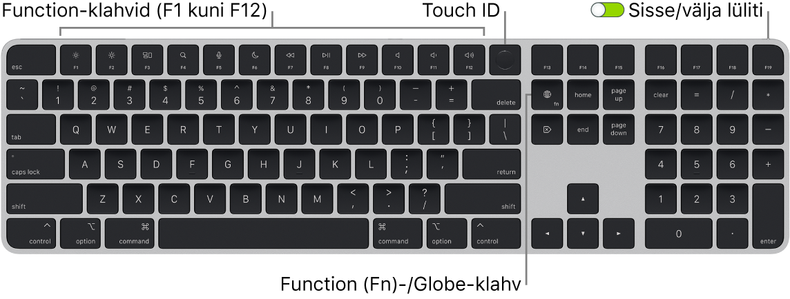 Touch ID-ga ja numbriklahvistikuga Magic Keyboard, mille ülaosas on funktsiooniklahvide rida ja Touch ID ning klahvist Delete paremal klahv Function (Fn)/Globe.