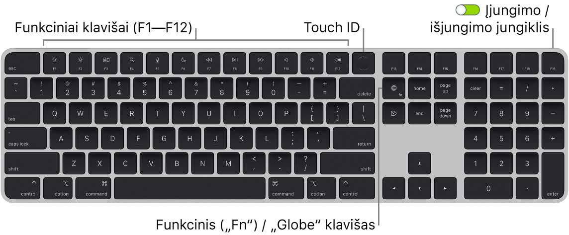 „Magic Keyboard“ su „Touch ID“ ir skaitmenų klaviatūra, viršuje matosi funkcinių klavišų eilė, „Touch ID“, o klavišo „Delete“ dešinėje – klavišas „Function“ („Fn“) / „Globe“.