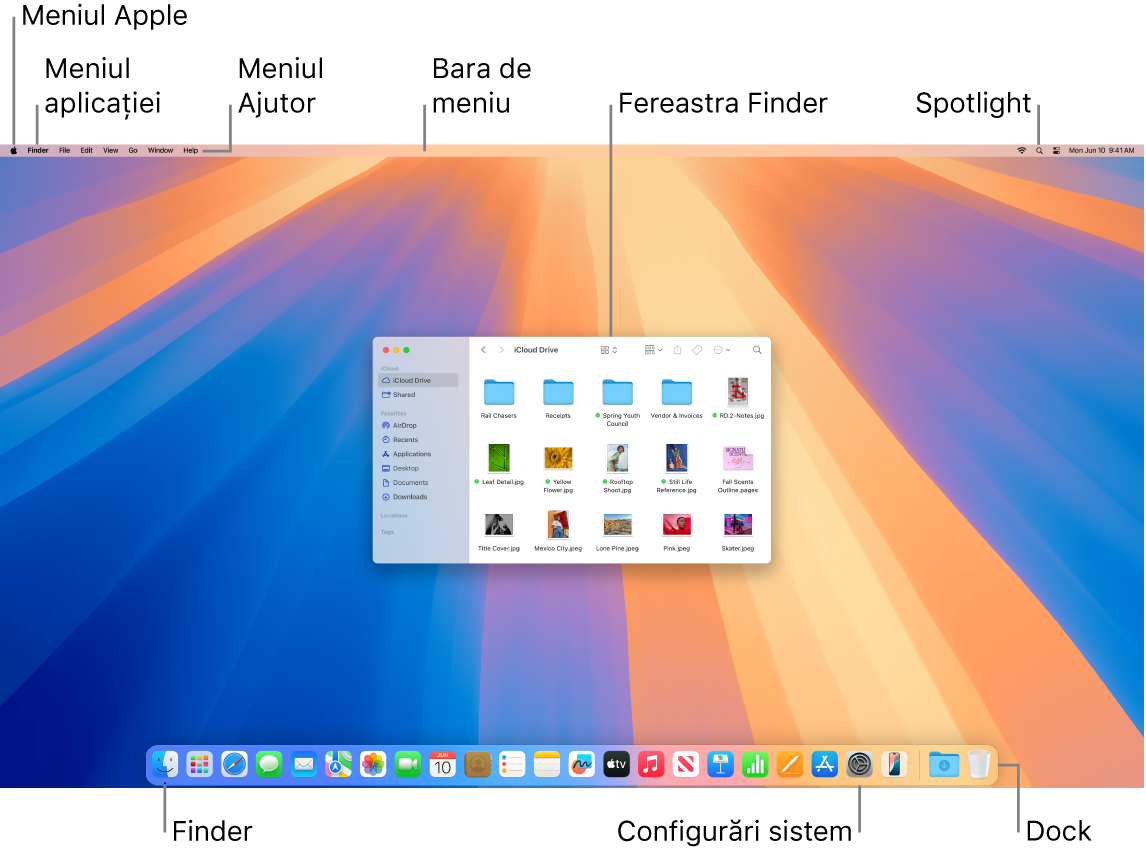 Un ecran Mac afișând meniul Apple, meniul Aplicații, meniul Ajutor, bara de meniu, o fereastră Finder, pictograma Spotlight, pictograma Finder, pictograma Configurări sistem și Dock-ul.