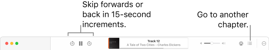 The audiobook player in Apple Books showing, from left to right, the Playback Speed button, the Skip Forward, Pause and Skip Back buttons, the title and author of the currently playing audiobook, the Volume slider, the AirPlay button, the Table of Contents button and the More button.