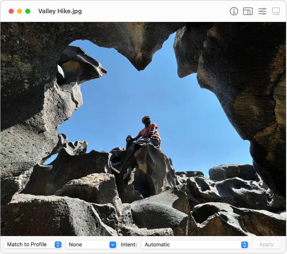 La ventana de la Utilidad ColorSync mostrando una imagen de un hombre en un océano o bahía sentado en una tabla de surf.