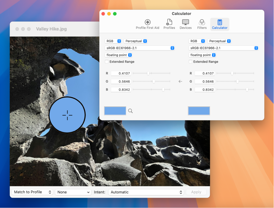 Panel Kalkulator menampilkan nilai warna untuk piksel dalam dua profil warna berbeda.