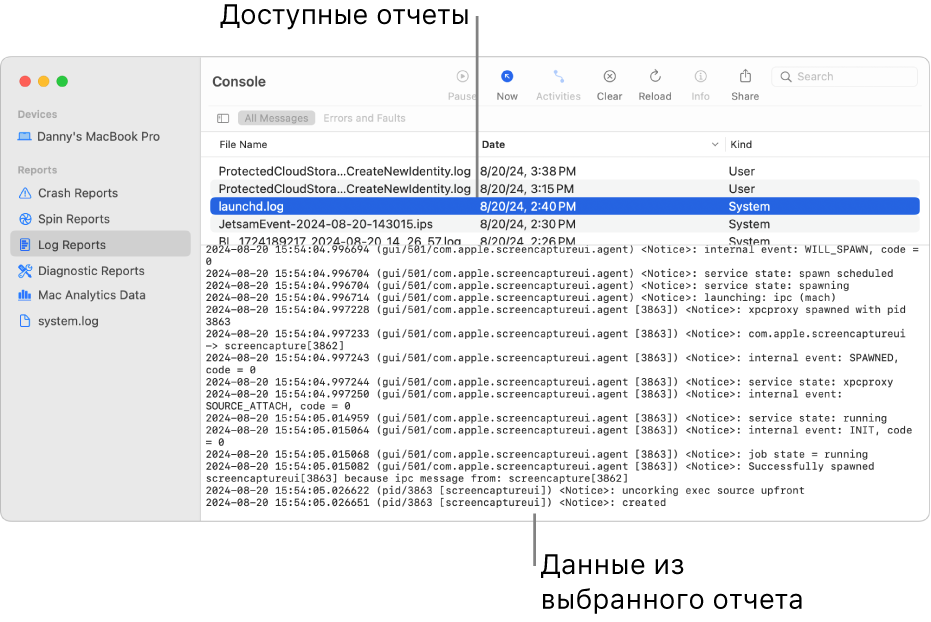 Окно Консоли с типами отчетов в боковом меню, отчетами вверху и справа от бокового меню и сведениями об отчетах ниже.