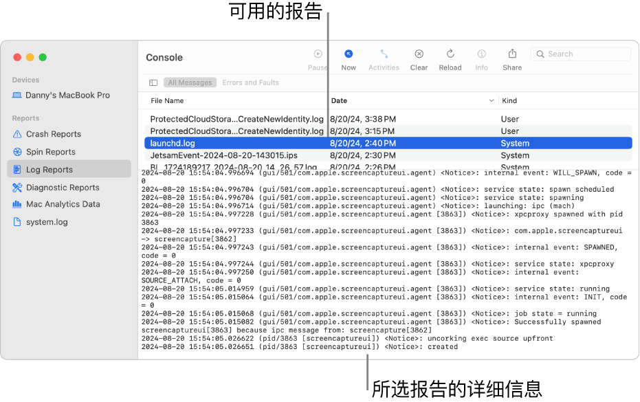 “控制台”窗口在边栏中显示报告类别，在边栏的顶部和右侧显示报告，以及在下方显示报告详细信息。