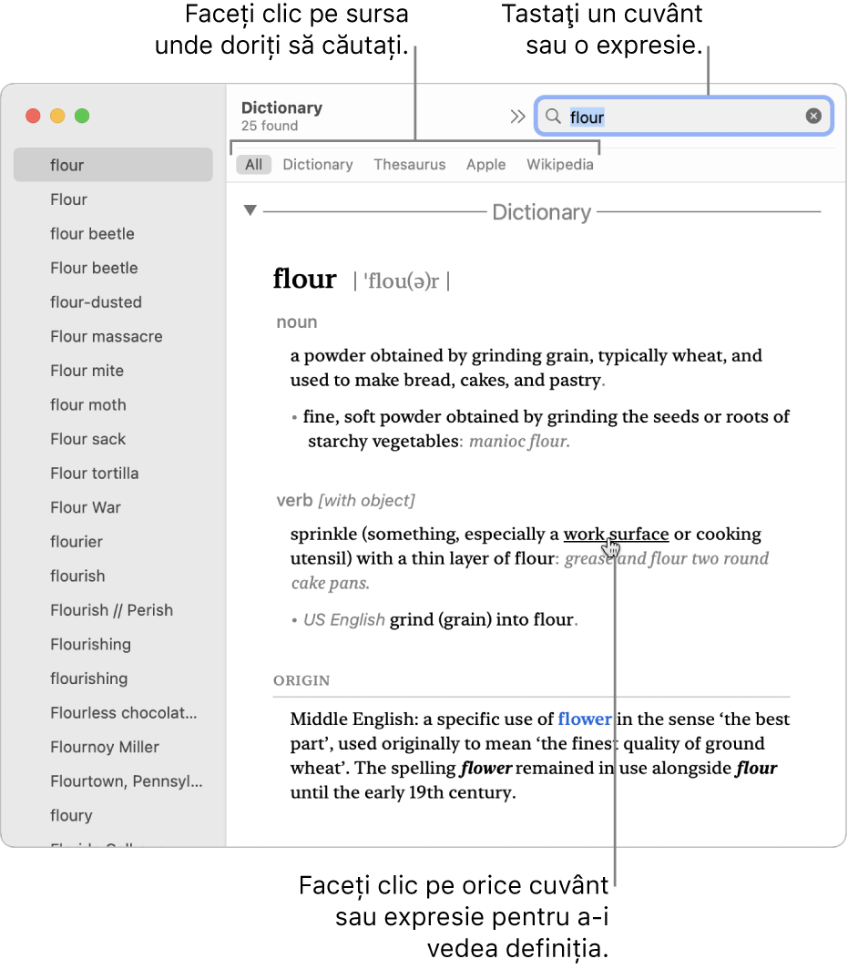 Fereastra completă Dicţionar, afişând o definiţie. Faceţi clic pe oricare cuvânt sau expresie din definiție pentru a-i vizualiza definiția. Pentru a selecta o sursă pentru căutare, faceţi clic pe numele său din bara sursă aflată sub bara de instrumente. Tastaţi un cuvânt sau o frază în câmpul de căutare.