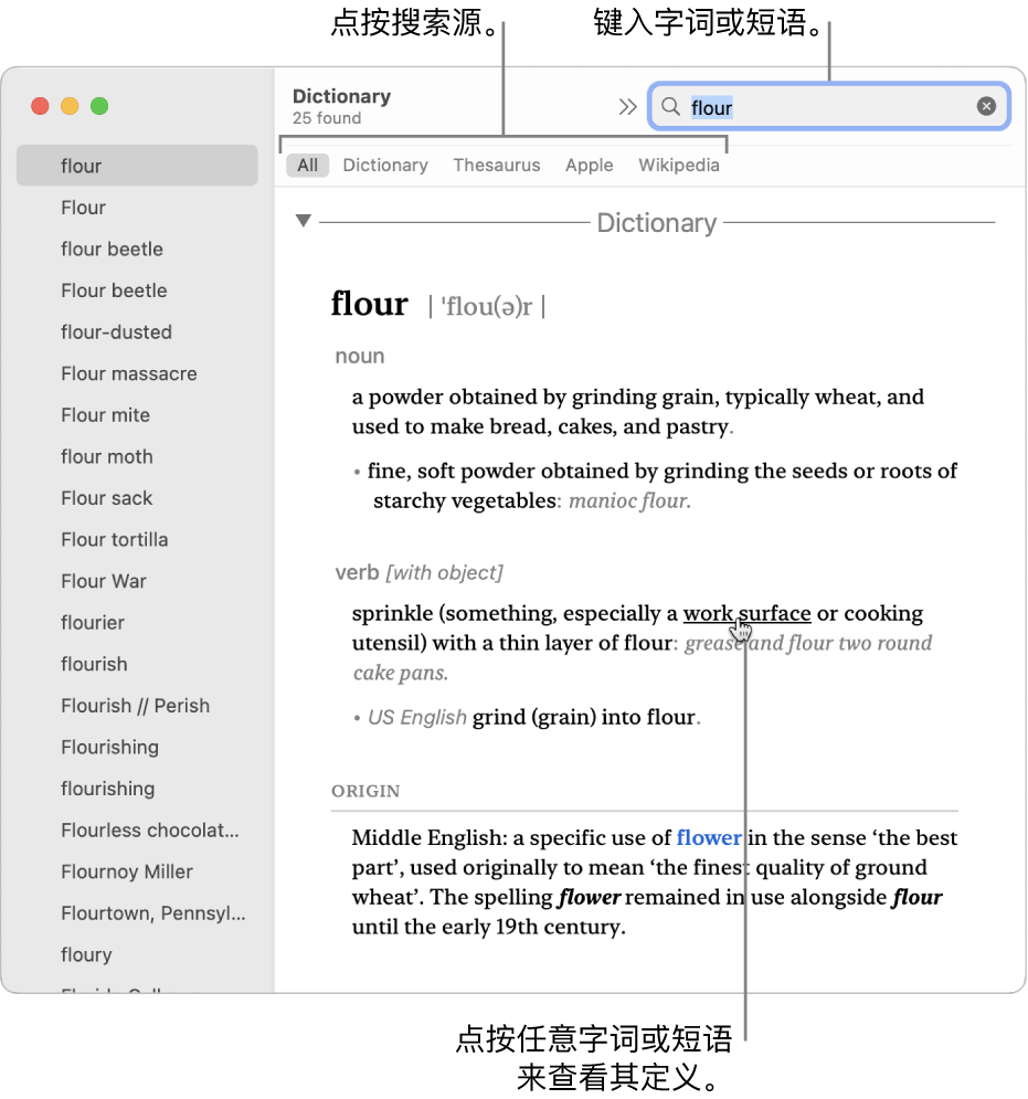 显示定义的完整“词典”窗口。点按定义中的任意词语或短语来查看其定义。若要选择搜索源，请点按来源栏（位于工具栏下方）中来源的名称。在搜索栏中键入词语或短语。