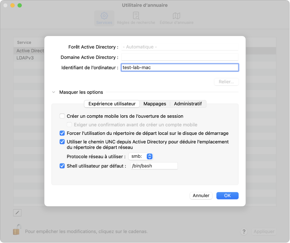 Les options de configuration Active Directory avec la section relative aux options avancées développée.